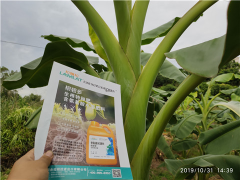 叶面肥，微生物菌剂，硼肥，水溶肥