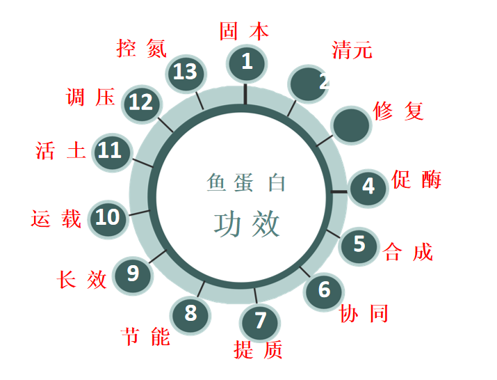 特种肥料,拉姆拉,水溶肥,鱼蛋白