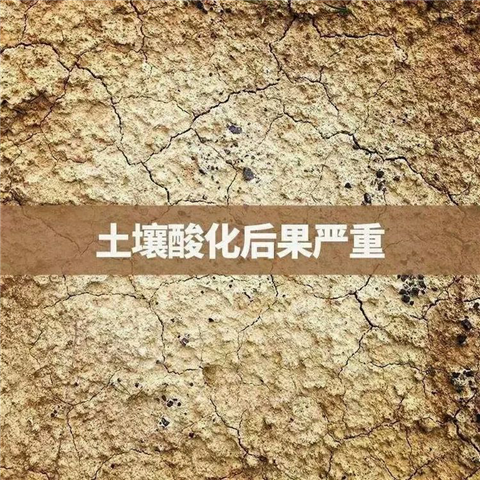 微生物菌剂,拉姆拉,翠姆