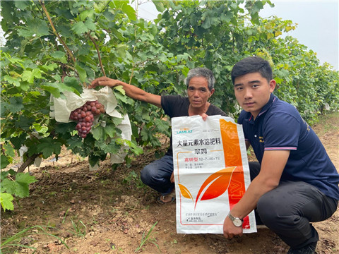 高钾水溶肥，磷酸二氢钾，拉姆拉，翠姆