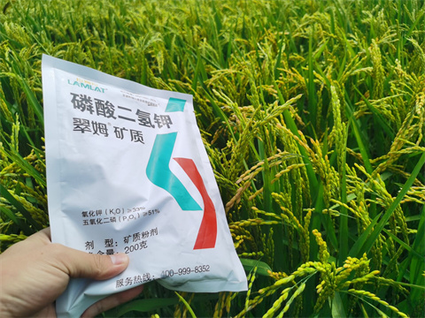 磷酸二氢钾,翠姆,水稻叶面肥