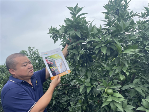 爱媛种植,水溶肥,伯示麦水溶肥