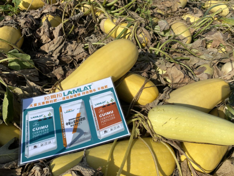 水溶肥,西葫芦种植,拉姆拉滴灌级特种肥