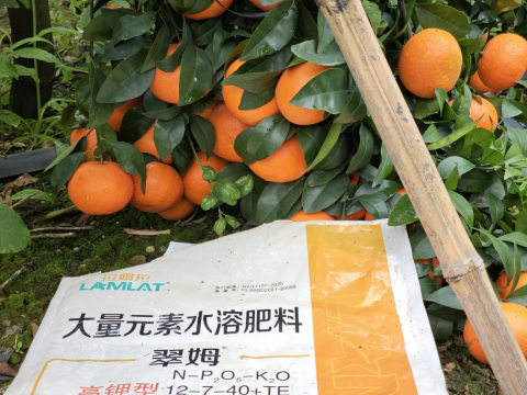 水溶肥品牌,柑橘种植,拉姆拉滴灌级特种肥