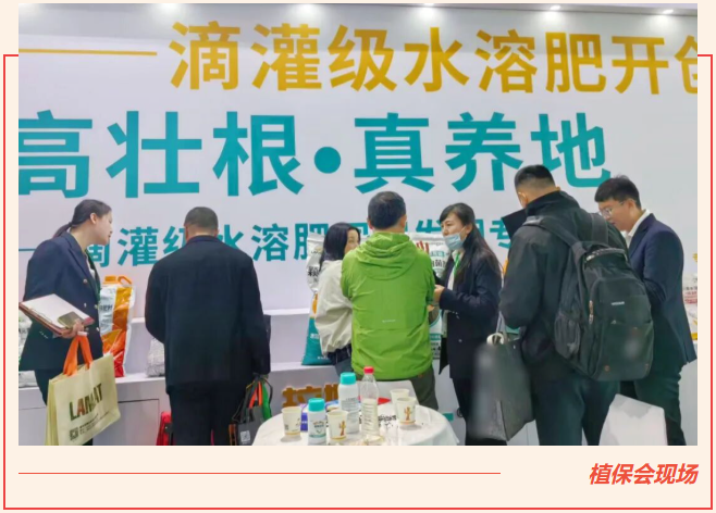 全国植保会,水溶肥厂家,拉姆拉滴灌级特种肥 全国植保会,水溶肥厂家,拉姆拉滴灌级特种肥