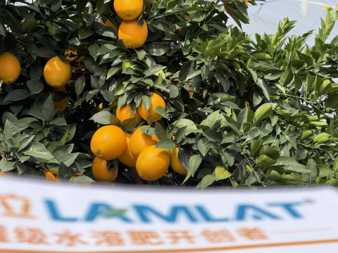 水溶肥,脐橙种植,拉姆拉滴灌级特种肥