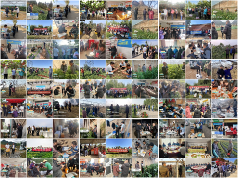 拉姆拉滴灌级特种肥,水溶肥,新年