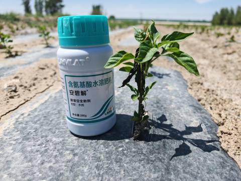 辣椒施肥,拉姆拉滴灌级特种肥,水溶肥