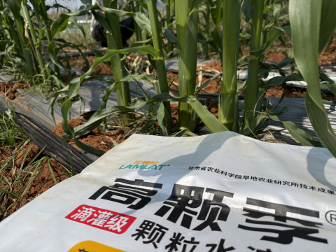 微生物菌剂,拉姆拉高颗季,水溶肥