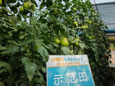 生根养地,拉姆拉滴灌级特种肥,水溶肥